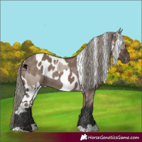 Horse Color:Liver Red Dun Mushroom Skewed LP Spotted  and Liver Red Dun Mushroom Skewed LP Spotted 