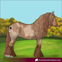 Horse Color:Red Dun and Red Dun
