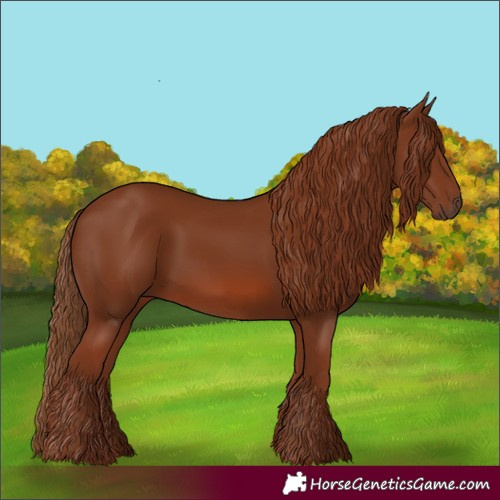 Horse Color:Chestnut 