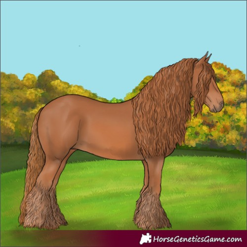 Horse Color:Chestnut 