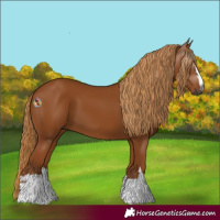 Horse Color:Gray Chestnut 