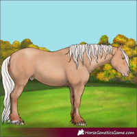 Horse Color:Silver Amber Champagne