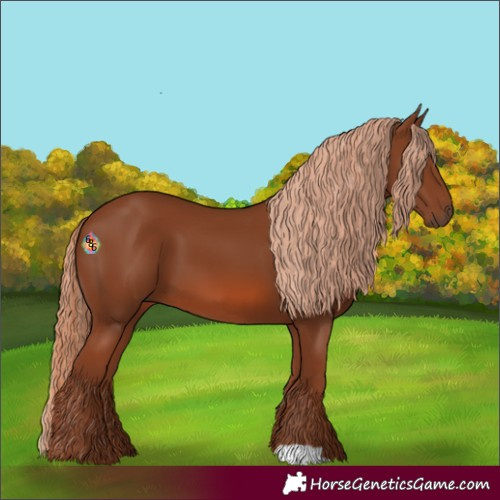 Horse Color:Chestnut 