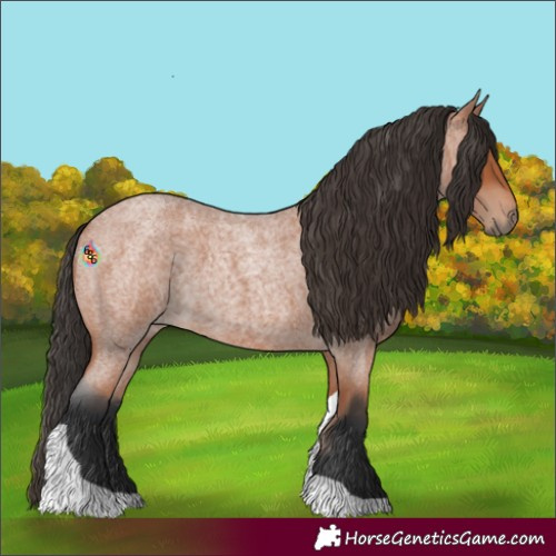 Horse Color:Bay Roan Tobiano
