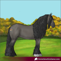 Horse Color:Grullo 