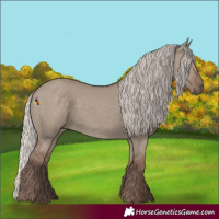 Horse Color:Silver Grullo