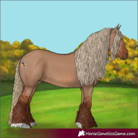 Horse Color:Red Dun