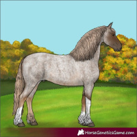 Horse Color:Chocolate Palomino Roan Tobiano 