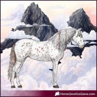 Horse Color:Chestnut Tobiano Leopard 
