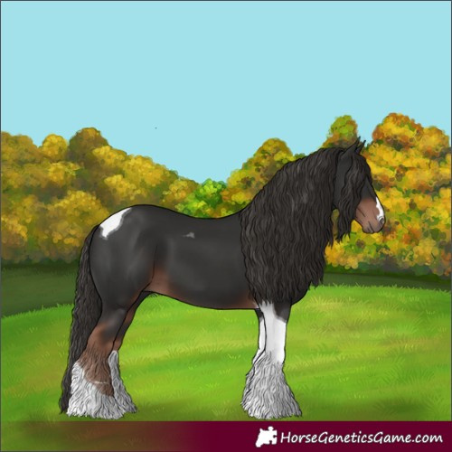 Horse Color:Liver Chestnut Tobiano