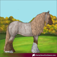 Horse Color:Chocolate Palomino Roan Tobiano 