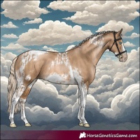 Horse Color:Chocolate Palomino Pearl Tobiano Frame  and Chocolate Palomino Pearl Tobiano Frame 