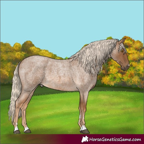 Horse Color:Chocolate Palomino Roan 