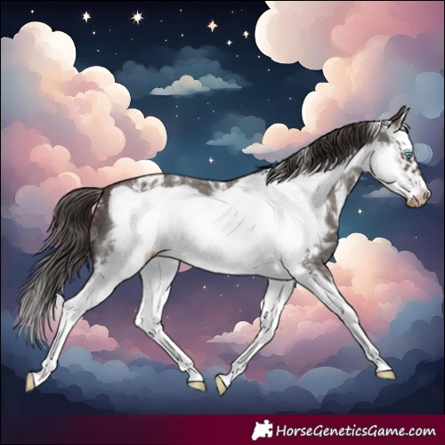 Horse Color:Liver Chestnut Sabino Splash Frame Varnish 