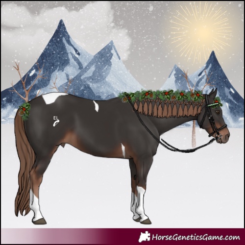 Horse Color:Liver Chestnut Tobiano 