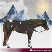 Horse Color:Liver Chestnut Tobiano 