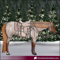 Horse Color:Red Roan Rabicano