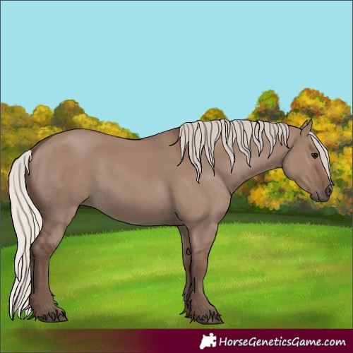 Horse Color:Silver Grullo