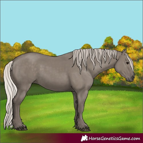 Horse Color:Silver Grullo