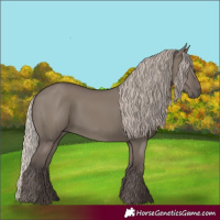 Horse Color:Silver Grullo 