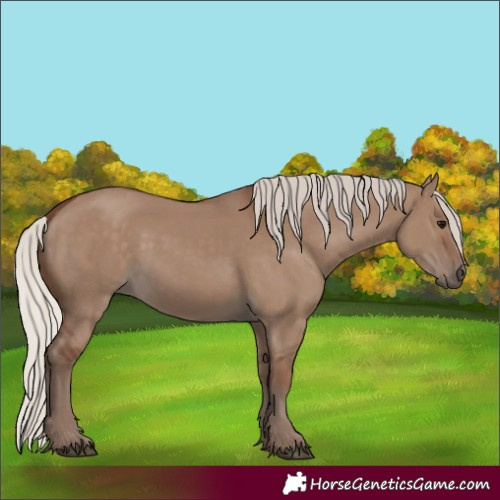 Horse Color:Silver Grullo