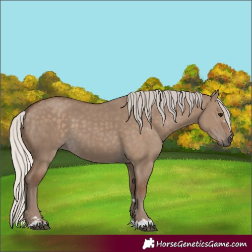 Horse Color:Silver Grullo