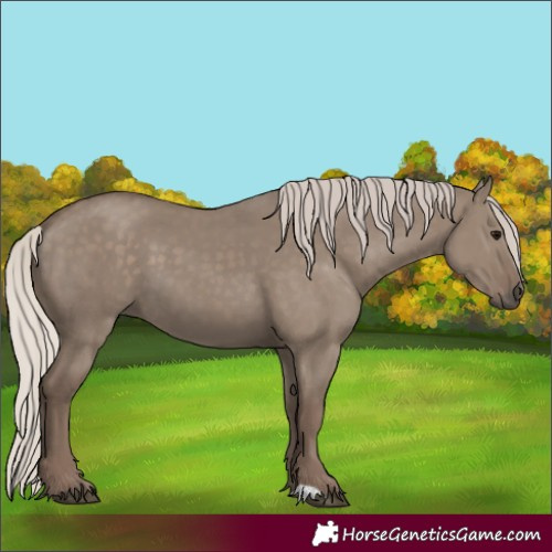 Horse Color:Silver Grullo 