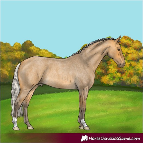 Horse Color:Silver Buckskin Roan 