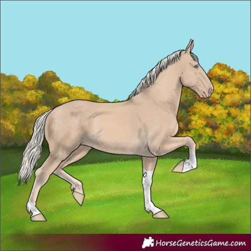 Horse Color:Cremello Tobiano