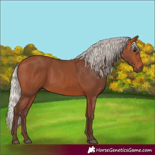 Horse Color:Silver Bay 
