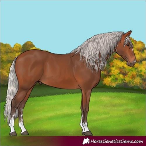 Horse Color:Silver Brown 