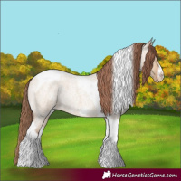 Horse Color:Amber Champagne Roan Dun Tobiano Frame Appaloosa Rabicano 