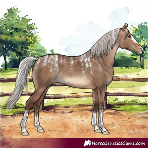 Horse Color:Powder White Silver Brown Dun