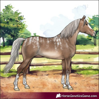 Horse Color:Powder White Silver Brown Dun 