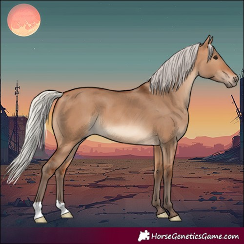 Horse Color:Silver Bay Dun 