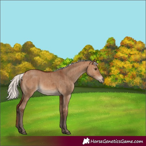 Horse Color:Silver Brown Dun Brindle 