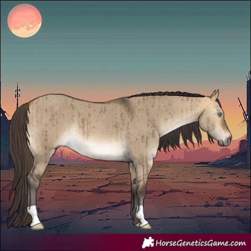 Horse Color:Buckskin Dun Rabicano Brindle 