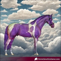 Horse Color:Watercolor Black Tobiano 