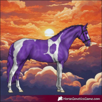 Horse Color:Watercolor Black Tobiano 