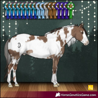 Horse Color:White Spotted Liver Red Dun Frame 