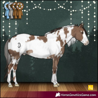 Horse Color:White Spotted Liver Red Dun Frame 
