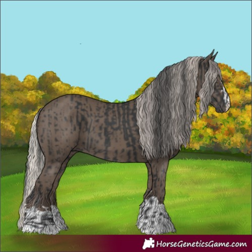 Horse Color:Black and Silver Black