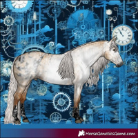 Horse Color:Gray Void Red Dun Blanket and Gray Void Red Dun Blanket