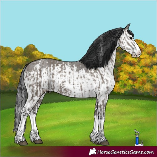 Horse Color:Grullo Sabino Splash  and Grullo Sabino Splash 