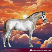 Horse Color:Buckskin Roan Splash Frame