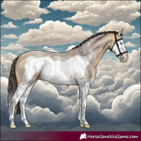 Horse Color:Buckskin Roan Splash Frame