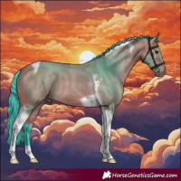 Horse Color:Watercolor Buckskin Tobiano 