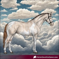 Horse Color:Red Dun Ice Tobiano Frame 