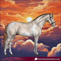 Horse Color:Red Dun Ice Tobiano Frame