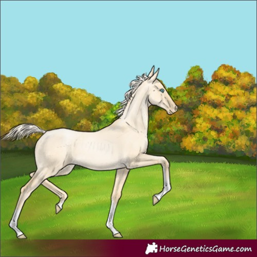 Horse Color:Palomino Pearl Dun Tobiano 